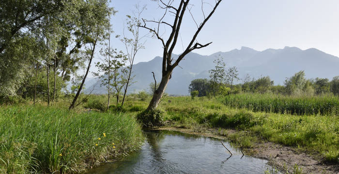 Der Fluss La Greffaz